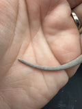 #1609, male, hypo, possible het zero, Witblits Bearded dragon for sale