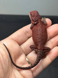 RM986, male, trans, possible het hypo, 50% Red Monster bearded dragon for sale