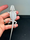 #989 female, hypo, leatherback