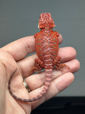Photo 4 of blue and red hypo, leatherback, blue bar, 50% Red Monster bearded dragon