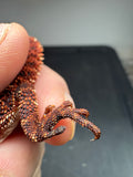 Photo 5 of red 50% Red Monster bearded dragon