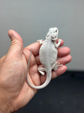 #1281, male, Hypo, leatherback, Zero, possible het Witblit/trans