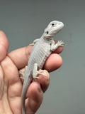 #1307; male, hypo, leatherback, Zero, possible het Witblits