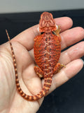 RM689, male, 50% red monster, het hypo