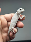 #1340, female, hypo, leatherback, zero