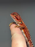 RM729; male, leatherback, 50% red Monster, 50% possible het Albino, possible het hypo
