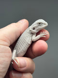 #1386, male, hypo, Zero, possible het wits/trans