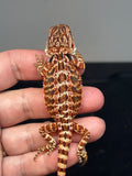 RM738, male, 50% Red Monster, possible het hypo