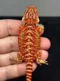 RM740, female, 50% red monster, possible het hypo