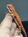 RM741, male, hypo, 50% Red Monster