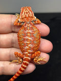 RM742, male, hypo, 50% red monster