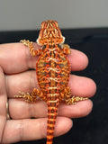 RM752, male, 50% Red Monster, possible het hypo