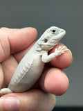#1398, female, hypo, leatherback, possible het wits/trans Zero Bearded Dragon for sale