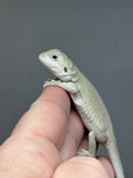 #1404, Female, hypo, leatherback, possible het trans, possible het zero,  Witblits Bearded dragon for sale