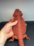 RM414 female, 100% Red Monster, het hypo