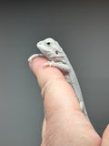 #1413, male, hypo, possible het wits/trans, Zero Bearded Dragon for  sale