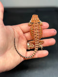 RM422 female, 50% red Monster, het hypo