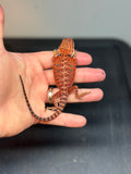 RM423 male, 50% Red Monster, het hypo