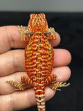 RM800, male, leatherback, possible het trans, 75% Red Monster bearded dragon for sale