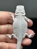 #1451, female, hypo, zero, possible het wits/trans, Zero Bearded Dragon for sale