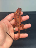 RM455 female, 100% Red Monster, het hypo, leatherback