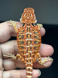 RM829, male, possible het hypo, 75% Red Monster bearded dragon for sale