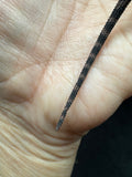 RM892, female, possible het hypo, 75% Red Monster bearded dragon for sale