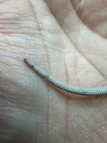 #1550, female, hypo, leatherback, possible het trans, possible het zero, Witblits Bearded dragon for sale