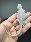 #1557, male, hypo, possible het wits, Zero Bearded Dragon for sale