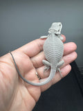 #1572, female, hypo, Zero Bearded Dragon for sale