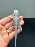 #1385, female, hypo, trans, leatherback, zero, possible het wits