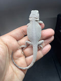 #1574, male, hypo, possible het Witblits, Zero Bearded Dragon for sale