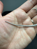 #1578, female, hypo, possible het Witblits, Zero Bearded Dragon for sale